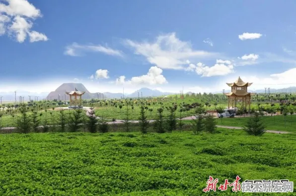 云从科技风能技术革新，能源效率跃升177.3%的底层逻辑与未来图景