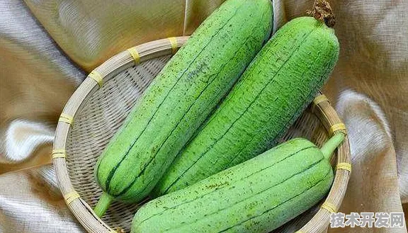 黄瓜丝瓜秋葵狐狸视频教程最新版app下载-黄瓜丝瓜秋葵.