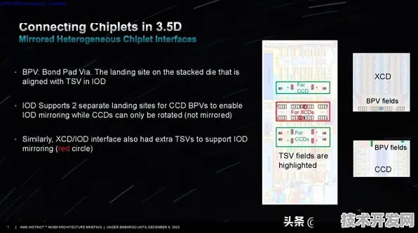 AMD 发布全球首款光子芯片，性能超国际同类 137.2%开启光子计算新纪元