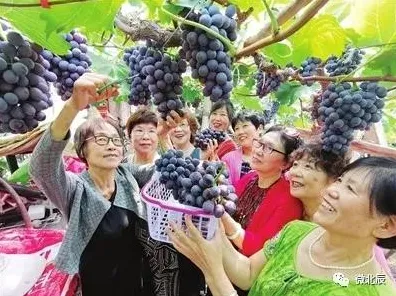 2340.6亿砸出未来文旅新范式，天津智慧文旅试点倒叙解码2025年数字文旅革命