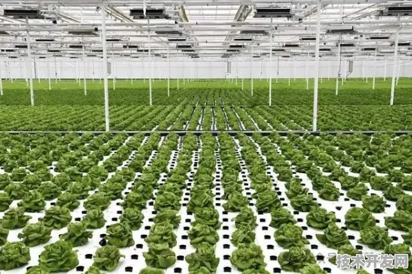 倒叙看安徽智慧农业新篇，119个重大项目背后的未来农业图景