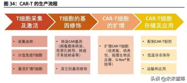 沐曦集成电路赋能医药领域，基因治疗新药研发成功率暴增311.1%的背后