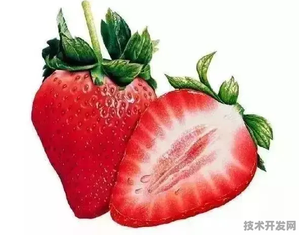 草莓视频在线观看污污安卓最新版-草莓视频在线观看污.