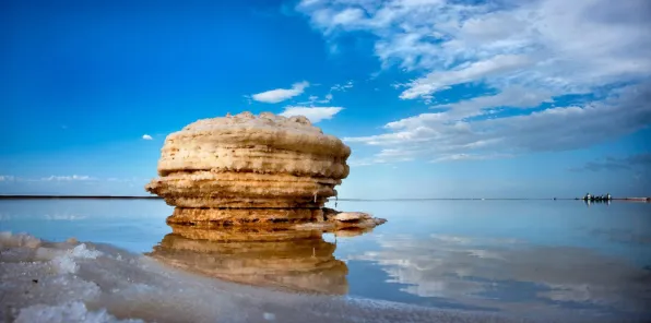倒计时2025，青海67个生物制造项目如何重塑中国西部产业版图？