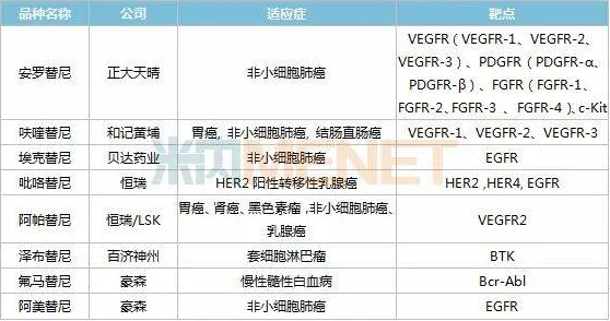 沪上创新速递：和记黄埔医药国际标准制定取得进展，可回收火箭参与主导，获浦东新区奖励