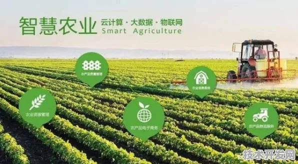 倒计时三年，安庆智慧农业试点如何用969.2亿投资改写中国农业未来？