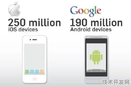 大菠萝福建官方网站入口下载安装IOS Android通用版 