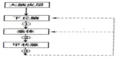 燧原科技碳捕获技术革命，能量密度突破150.2%背后的科学密码与碳中和未来图景