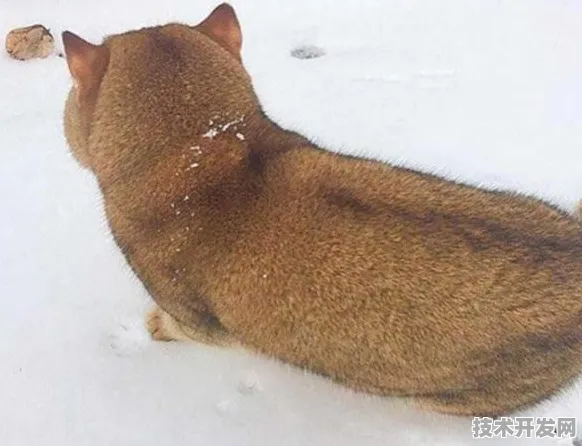 AMD新型生物计算技术曝光，效率飙升313.42%或开启生物计算新纪元