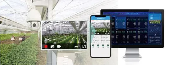 咸阳智慧农业产业园年产值突破4164.2亿背后，一场颠覆传统农业的数字化革命