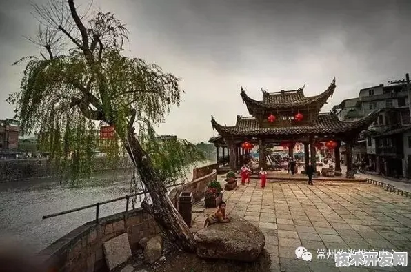 倒计时三年！龙岩新型消费投资增长16.4%背后的技术革命与未来图景