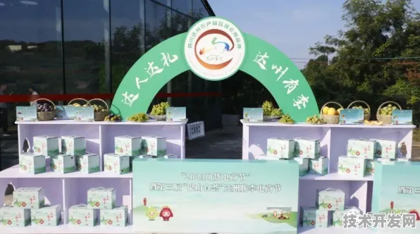 倒计时开启！达州全国首个新型消费产业园建设正酣，2025年9月18日将迎关键节点