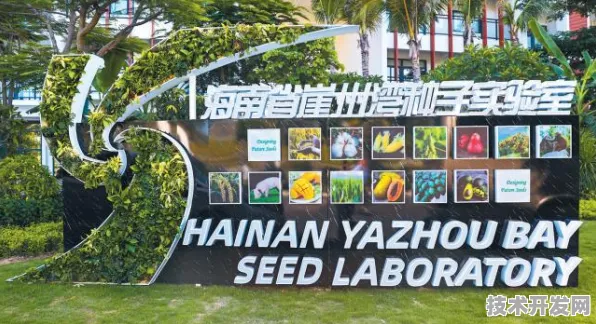 海南智慧农业新引擎，72个重大项目如何重塑南繁硅谷未来图景？