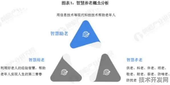 青海省银发经济重大项目新增145个，2025年智慧养老技术革新与产业布局深度解析