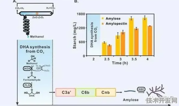 燧原科技技术规模化应用，成本降低与新材料科学的突破性融合