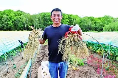 吉林省数字金融重大项目突破188个，2025年数据驱动下的未来金融新图景