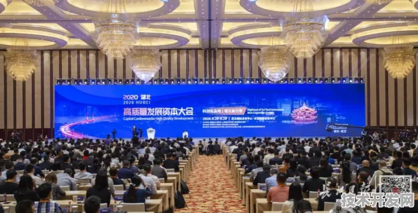 18.95万参与者见证，武汉量子峰会撬动未来产业新支点，267项合作开启全球技术融合新纪元