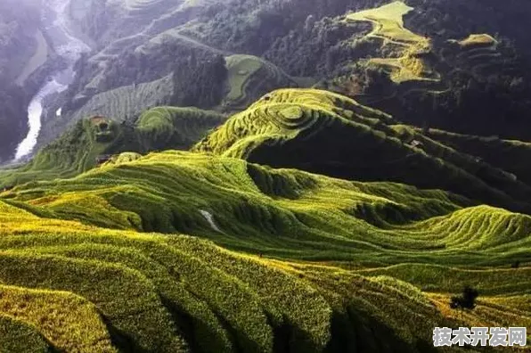 倒计时三年，贵州51个数字经济项目如何改写西部技术版图？2025年产值预测揭示产业革命新路径