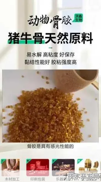 美国人与动物胶配方大全网站版-美国人与动物胶配方.
