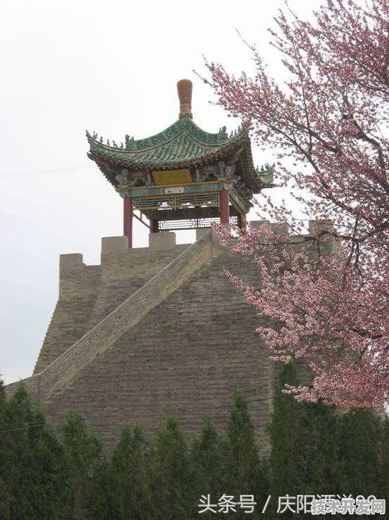 甘肃庆阳智慧医疗三年规划收官，153个项目如何重塑西北医疗生态？