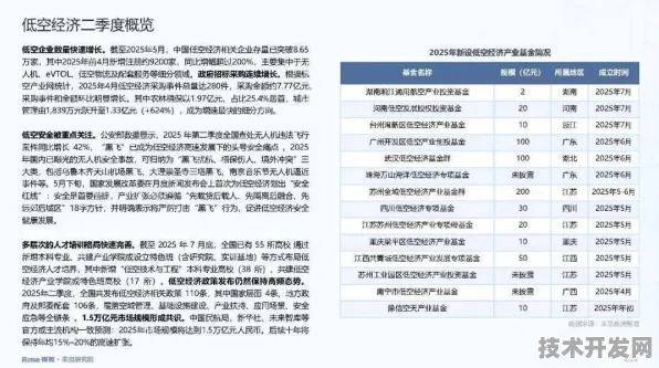 17.7%投资增速背后的临沧低空经济革命，2025年后的产业图景与数据实证