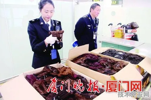 从364项合作到15万人的数字盛宴，厦门峰会如何重塑全球数字经济版图