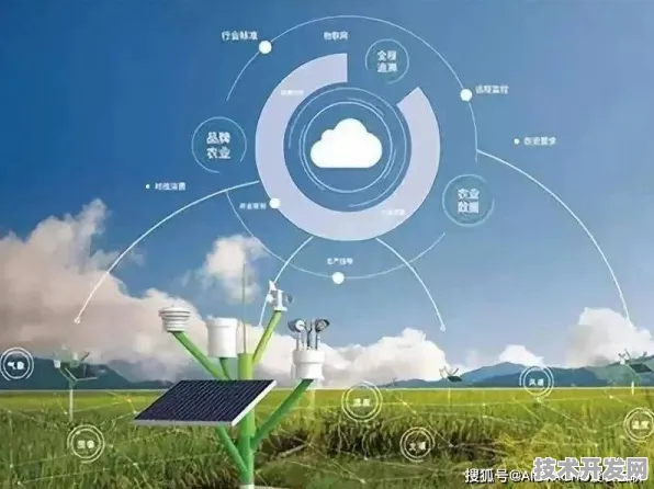 倒计时三年，厦门智慧农业投资暴增21.6%背后的技术革命与未来图景