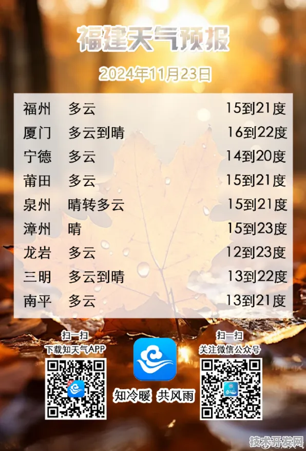 福建导航福建大菠萝官网下载新春官方版-福建导航福建.
