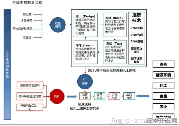 百度生物计算技术新突破，规模化应用实现成本大幅降低，开启生物技术新篇章