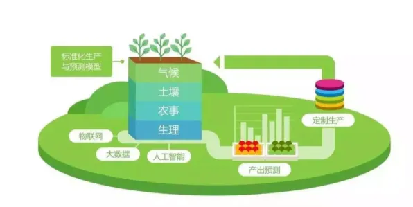 昌都智慧农业投资激增13.9%背后，2025年物联网农场将实现亩产突破性增长