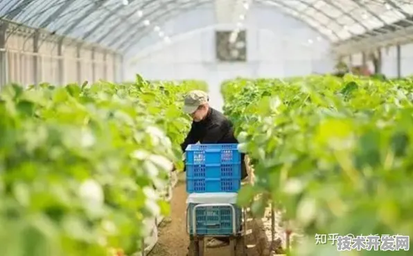 上海智慧农业产值突破2842.4亿元后，2025年将如何迈向4000亿新台阶？