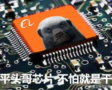 平头哥半导体新突破，效率飙升273.80%开启芯片设计新纪元？