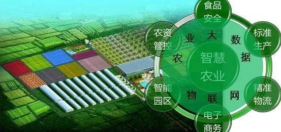 益阳智慧农业投资逆势增长20.7%2025年规划背后的技术革命与未来图景