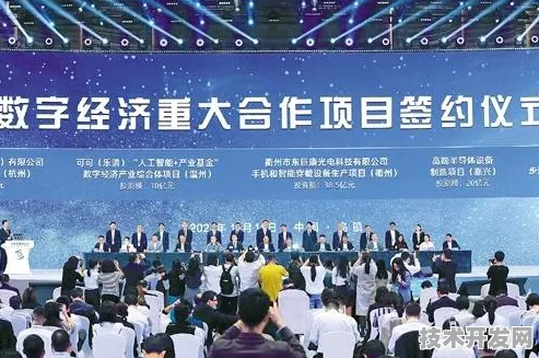 倒叙海东数字经济峰会，69项合作如何重塑未来十年数字版图？