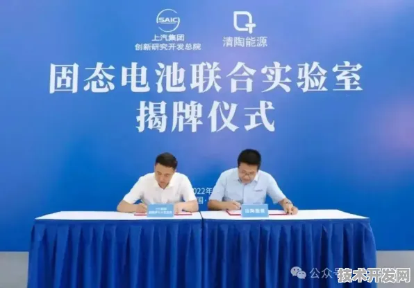 申城技术前沿：拼多多与全固态电池合作构建新型能源体系，入选长三角一体化示范项目
