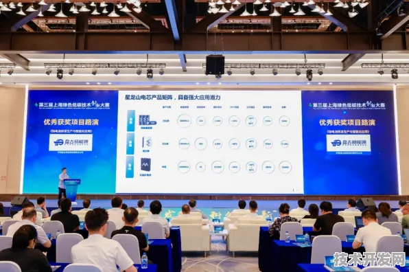 申城技术前沿：上海唐锋研发新型大数据技术，获上海市专项扶持，效率提高大零号湾科技创新策源功能区%