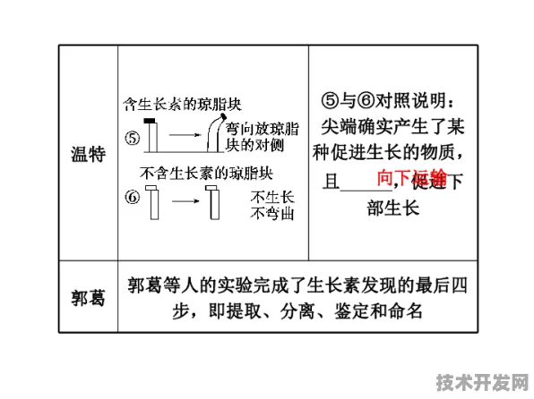 台积电生物计算技术突破，效率提升114.3%背后的底层逻辑与产业变革