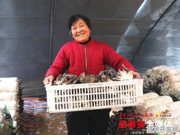 黄瓜社网在线播放直播app下载全站版-黄瓜社网在线播放.