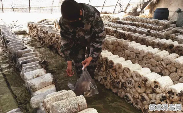 蘑菇破解视频播放软件的特点最新版下载-蘑菇破解视频.