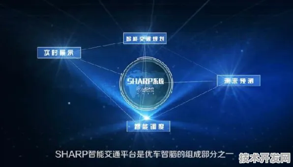 京东国际标准制定与脑机接口主导，开启未来科技新纪元