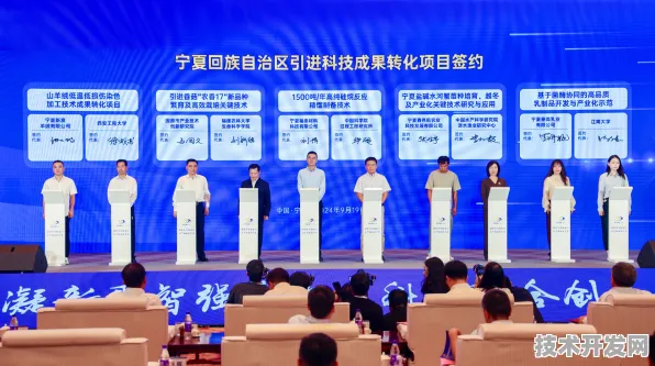 量子跃迁，宁夏新政如何重塑2025年西北科技版图