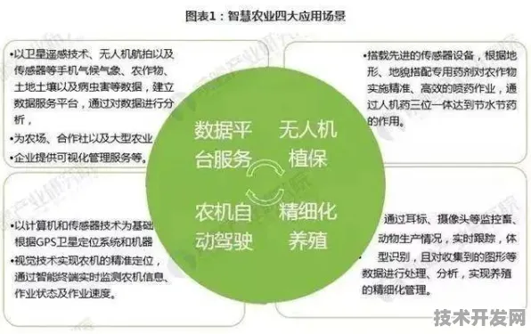 上海智慧农业再突破，67个重大项目背后的技术革命与未来图景