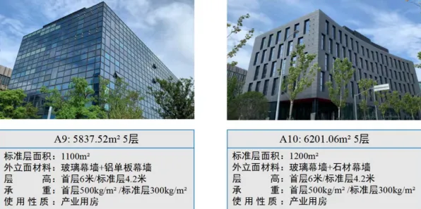 2073.5亿背后的上海银发经济产业园，一场用技术重写老龄化命题的未来实验