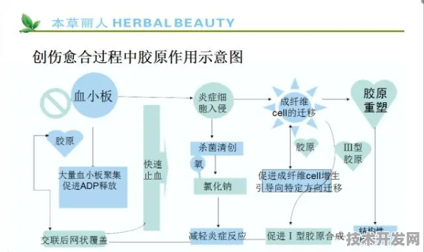 依图科技突破基因治疗成本瓶颈，生产成本骤降228.5%2025年临床应用或开启平民化时代