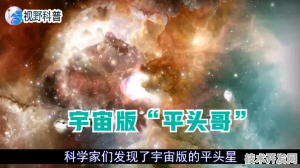 平头哥新型元宇宙技术效率飙升180.5%开启行业新纪元