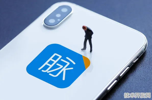 看b站夜月直播魅影下载安装IOS Android通用版 手机APP.