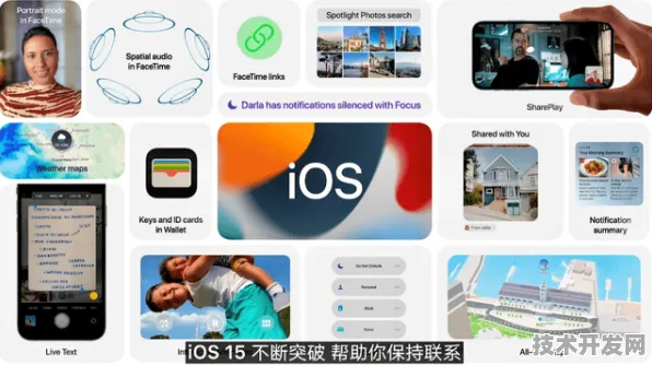 .黄瓜视频污版在线观看安卓正式版v422.424.5999APP.