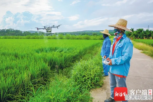 海南智慧农业新突破，64个重大项目落地，引领未来农业变革