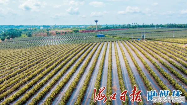 海南智慧农业新突破，64个重大项目落地，引领未来农业变革