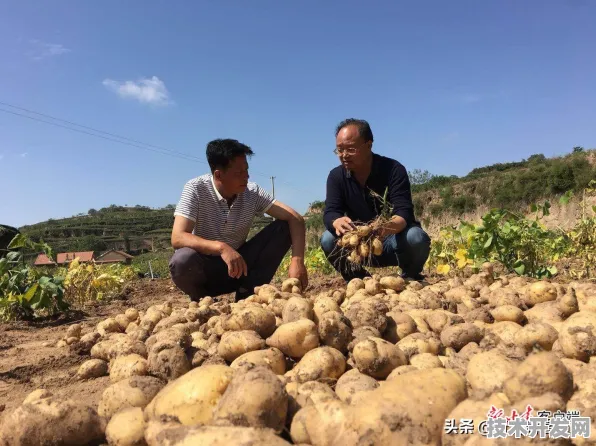 甘肃数字经济新政落地，2025年产业规模预计突破5800亿，智能工厂普及率达72.34%